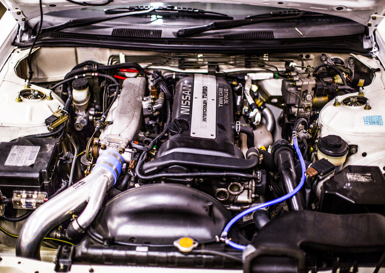 imageedit_31_5846878219