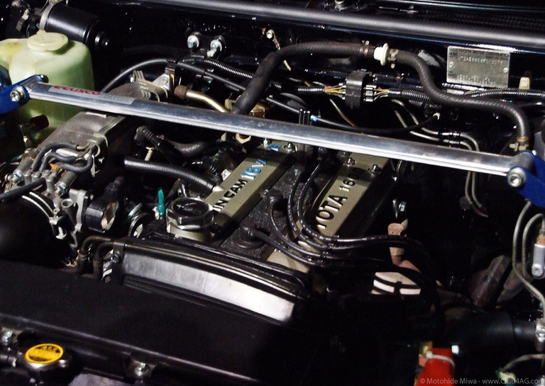 imageedit_33_7964795015